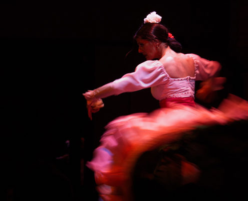 Flamenco Dancer 1