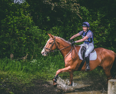 Equestrian Photography Limerick Horse Trials Show Event Equine